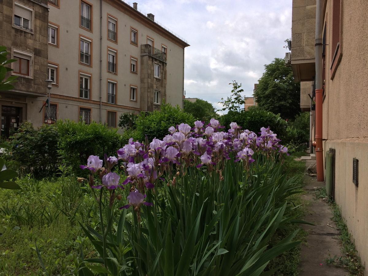 Irisz Apartman Budapeşte Dış mekan fotoğraf